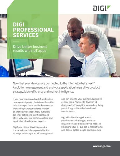 Digi Professional Services Flyer