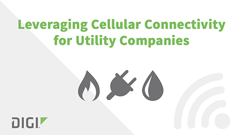 Leveraging Cellular Connectivity for Utility Companies 